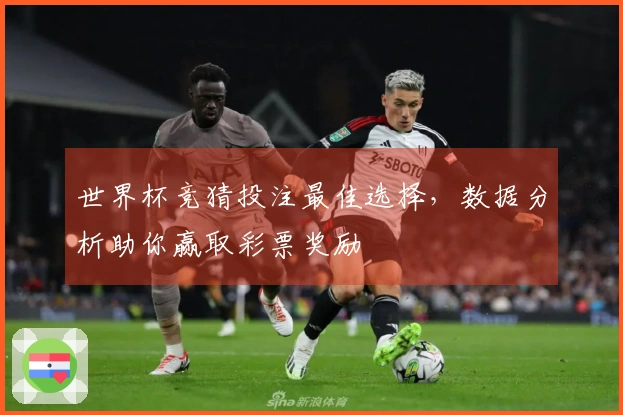 世界杯竞猜投注最佳选择，数据分析助你赢取彩票奖励