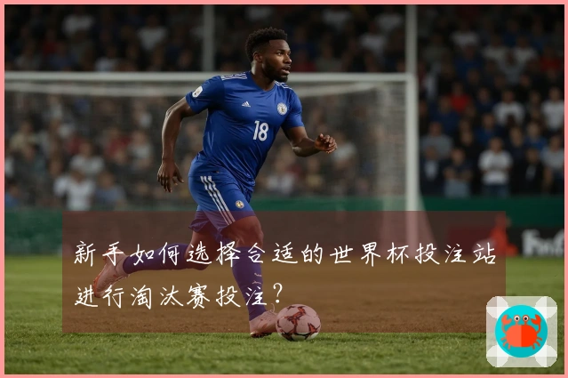 新手如何选择合适的世界杯投注站进行淘汰赛投注？