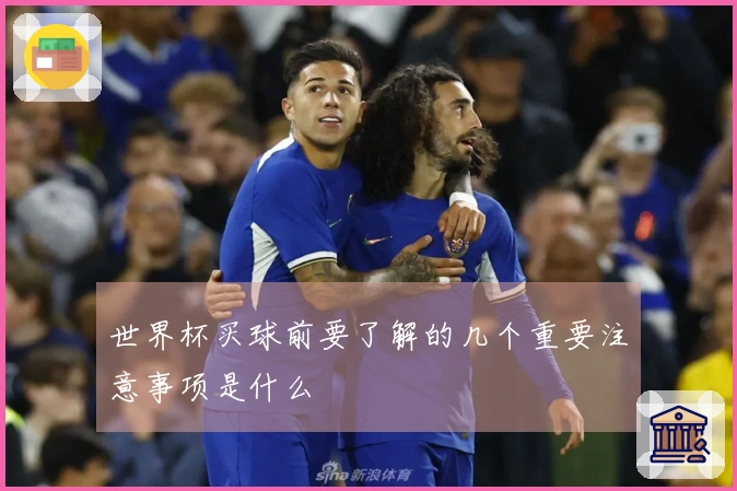 世界杯买球前要了解的几个重要注意事项是什么