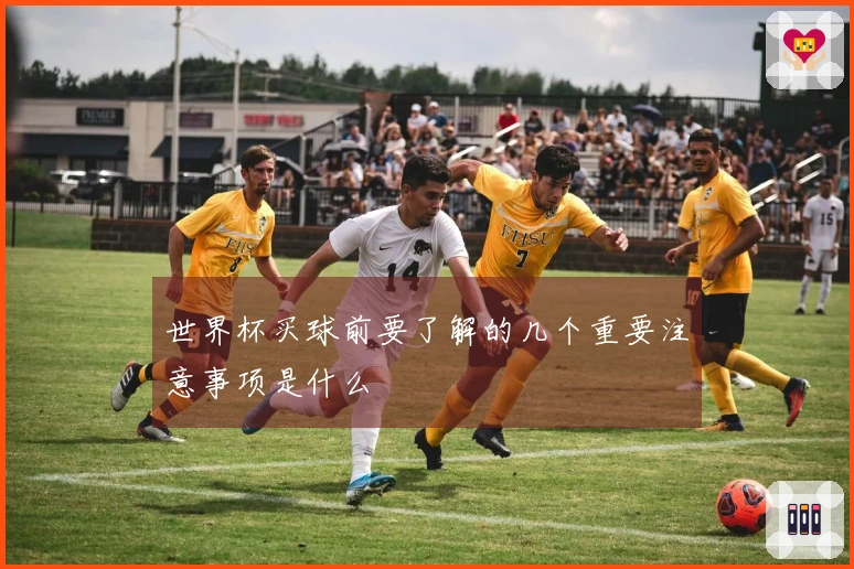 世界杯买球前要了解的几个重要注意事项是什么