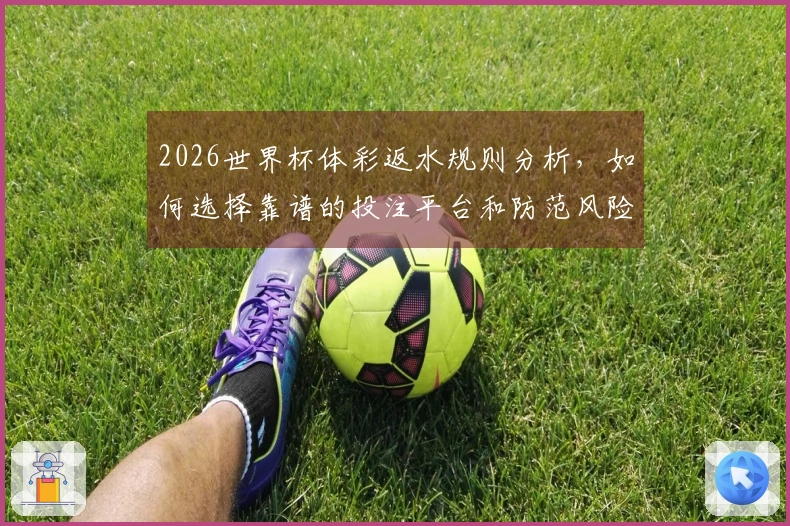 2026世界杯体彩返水规则分析，如何选择靠谱的投注平台和防范风险