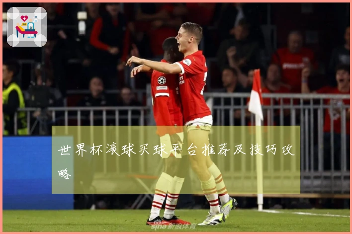 世界杯滚球买球平台推荐及技巧攻略